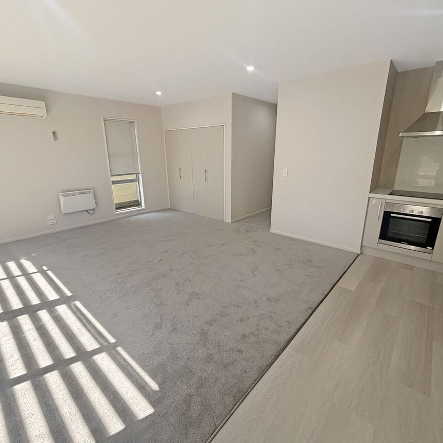 11c Clarence Street South, Addington, NZ 8024 - Photo 1