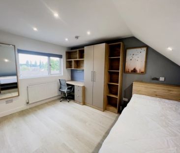 room 5 - Photo 5
