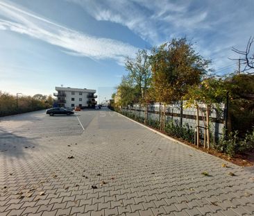 Mieszkanie na Wynajem, 42.00m - Photo 6