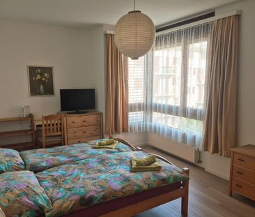 2 ZI-WOHNUNG IN VIGANELLO (TI), MÖBLIERT - Photo 3