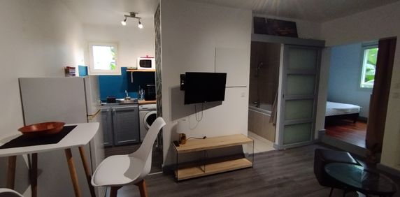 Location Appartement 29m² STE CLOTILDE 97490 - Photo 2
