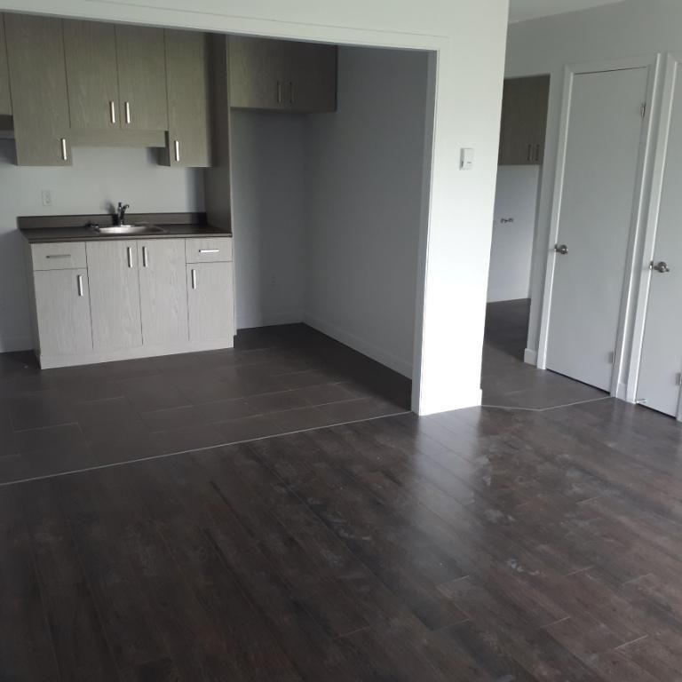 SUPERBE 3 ½ ENTIÈREMENT RÉNOVÉ - LIMOILOU - 995$ CHAUFFÉ,EAU CHAUDE - DISPONIBLE MAINTENANT OU POUR OCTOBRE OU NOVEMBRE - Photo 1