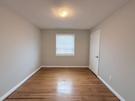 For Lease - 65 Beckett Avenue, Toronto, Ontario - Photo 4