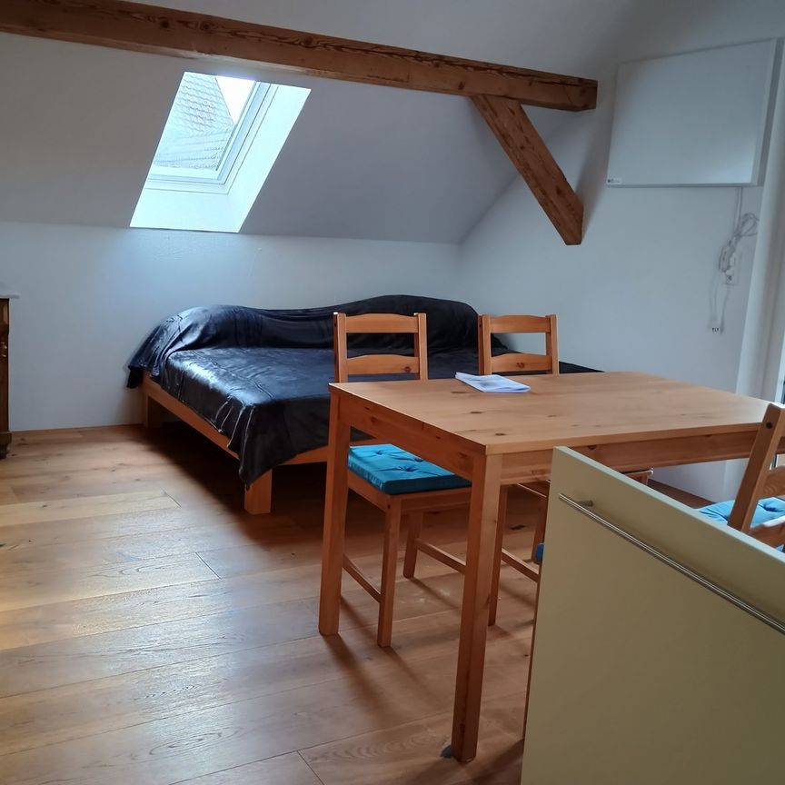 APPARTEMENT 1 PIÈCE À MATTSTETTEN (BE), MEUBLÉ, TEMPORAIRE - Photo 1
