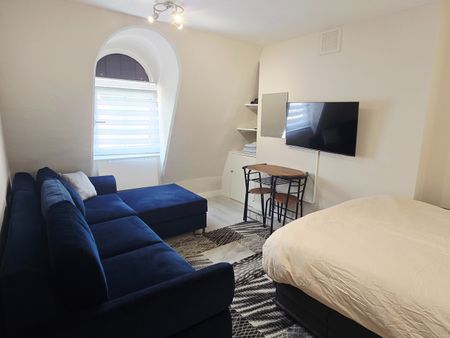 Studio Flat, Ebury Bridge Road, SW1W - Photo 5