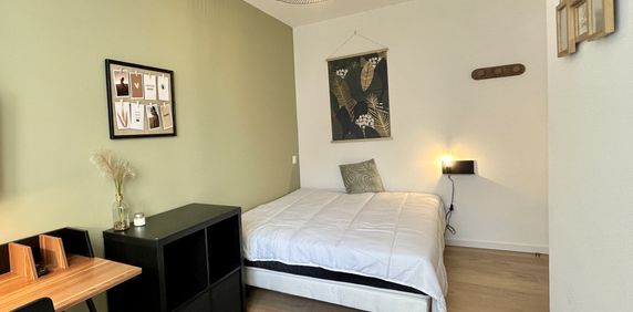 BALE D Roommate 3 Bedrooms at Strasbourg - Photo 2