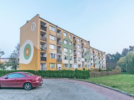 Pokój Gdynia Witomino - Zdjęcie 3
