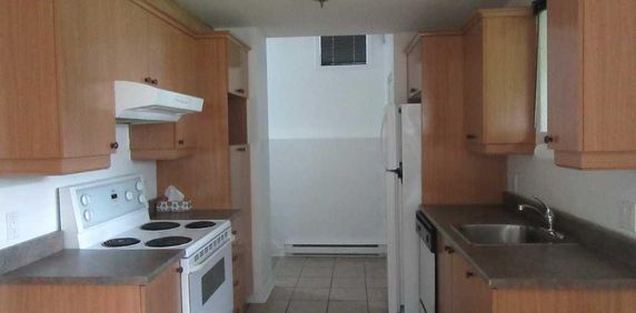 Bachelor 3 1/2 à louer - Photo 2