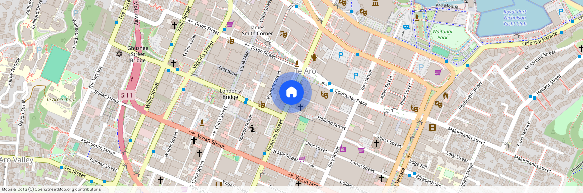 Te Aro, Wellington