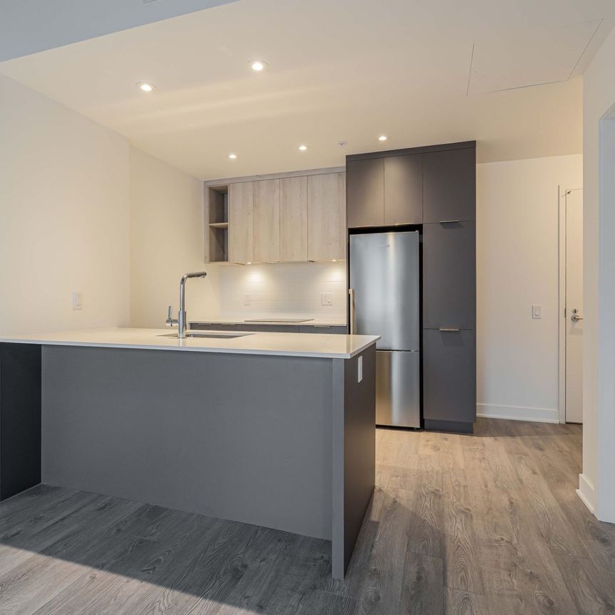 Condo for rent, Montréal (Saint-Laurent) - Photo 1