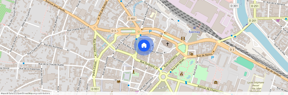 5 RUE DU DOCTEUR VERRON, 51200, Epernay