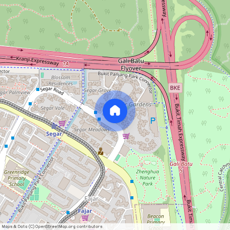 Blk 473 Segar Road S(670473), Bukit Panjang