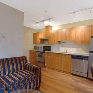 Furnished 1 Bedroom Waterfront Station 440 Richards Available Sept 1st - Photo 2