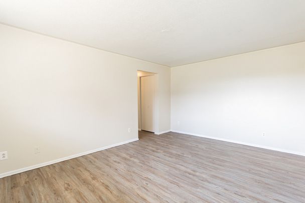 Kortright Apartments - ALL INCLUSIVE - Photo 1