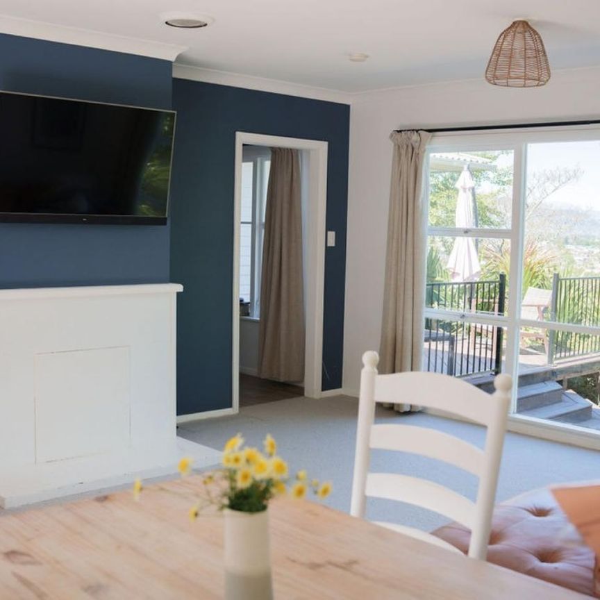 Sunny Elevated Home Near Tahunanui Beach – Privacy, Views and Character - Photo 1
