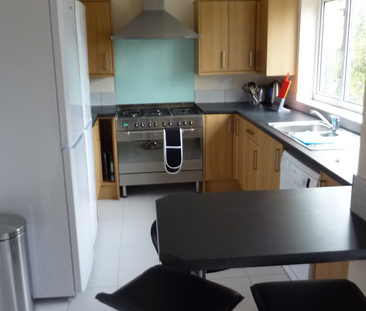 Deeds Grove - Photo 2