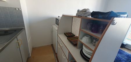 Location Appartement 1 pièce 23m² GRENOBLE 38100 - Photo 3