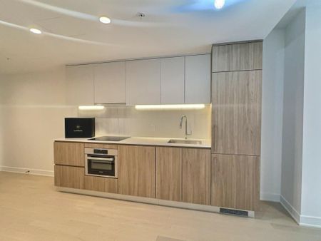 Appartement à louer - Montréal (Ville-Marie) (Mille Carré Doré) - Photo 5