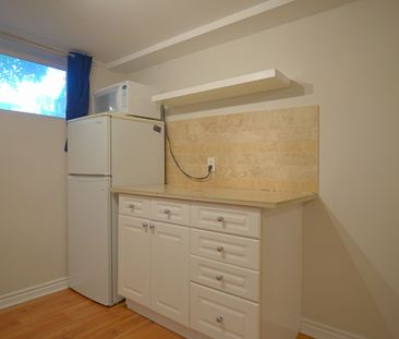 For Lease - 37 Brookfield Street Unit# Basement, Toronto, Ontario - Photo 3