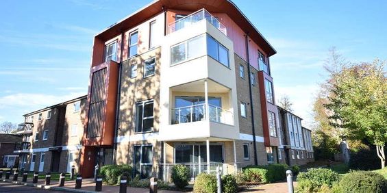 Uplands Court, Upton Road, Norwich, Norfolk, NR4 - Photo 3