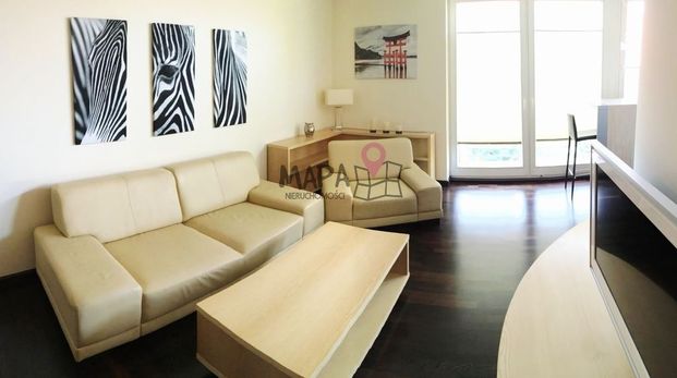 Apartament przy Jasnych Błoniach - Photo 1