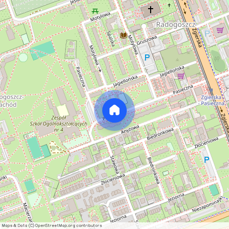 ul. Pasieczna, Radogoszcz, Bałuty, Łódź, łódzkie