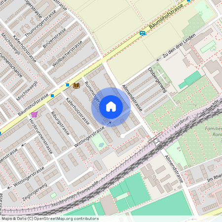 Rümmingerstrase 39, 4058 Basel