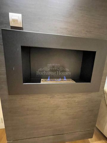 Large Furnished Three-Bedroom Flat - Kiseleff - Photo 3