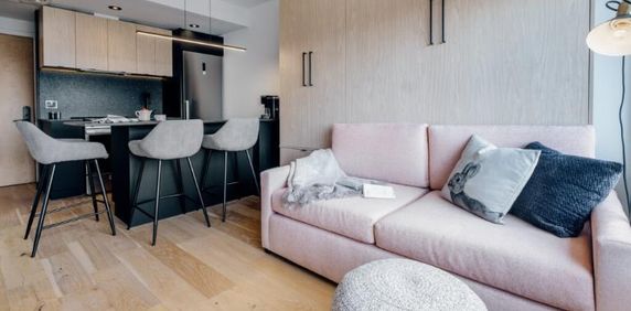 Loft entièrement meublé à louer Saint-Jean-Baptiste janvier 2026 - Photo 2