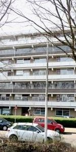 De Brink, 2553 Den Haag, Nederland - Photo 3