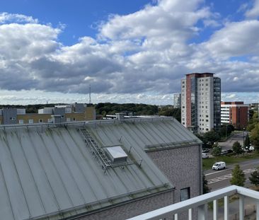 Grönkullagatan 20 - Photo 3