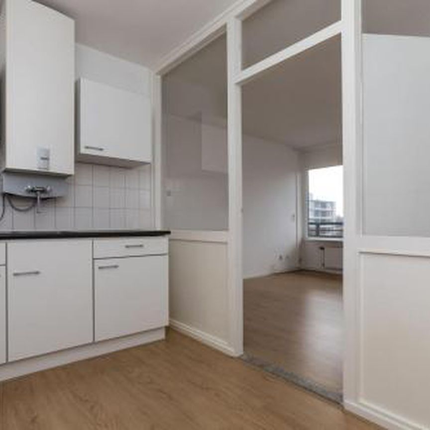 Hijmans van den Berghlaan 3571 Utrecht - Foto 1
