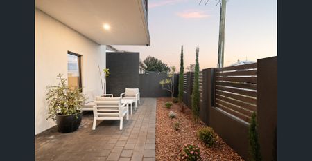 Modern Ground-Floor Apartment at Tomato Lake - Photo 4