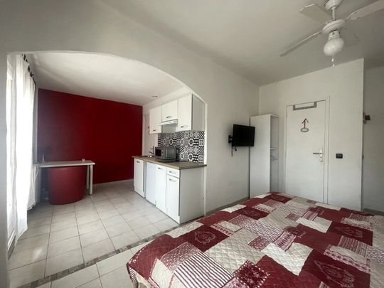 Location Appartement 1 pièces 35 m2 à Pézenas - Photo 1