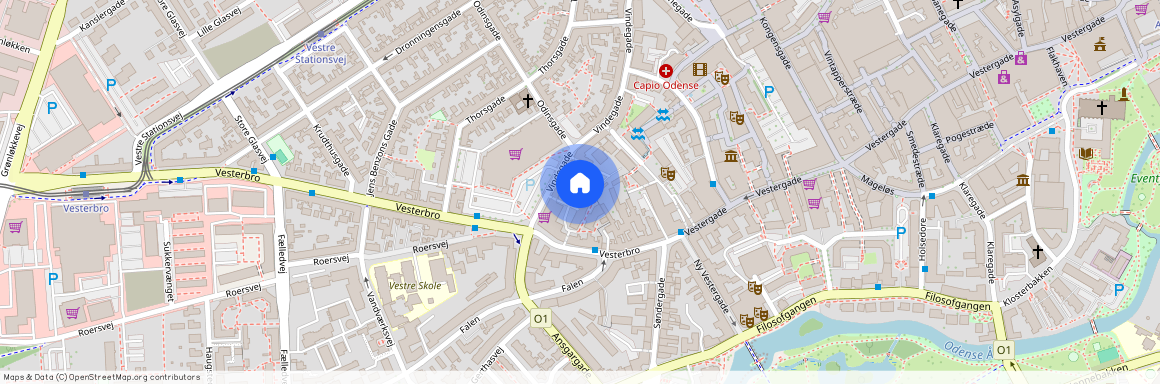 Vindegade 126A, 3, 5000 Odense C