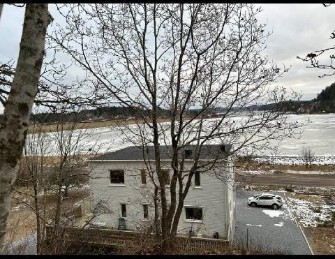 Allmag, Stillingsön - Foto 1