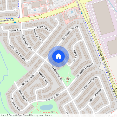 53 Hoyle Drive Unit# Lower, Brampton