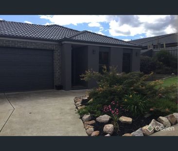 2 Saxon Road, Drouin, Vic 3818 - Photo 4