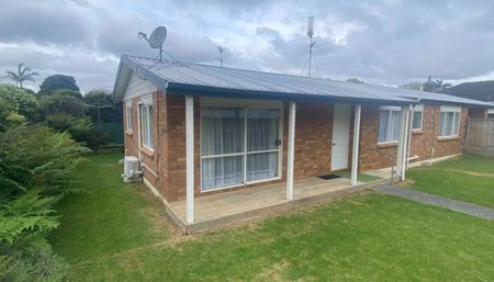 Lovely Family Home in Pukekohe - Photo 4