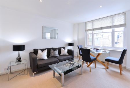 39 Hill Street, Mayfair, London - Photo 2