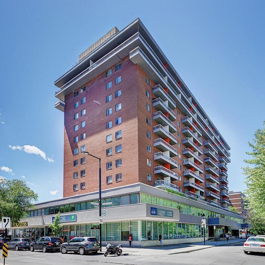 2 chambres - 1570 St-Timothée, Montréal - Photo 1