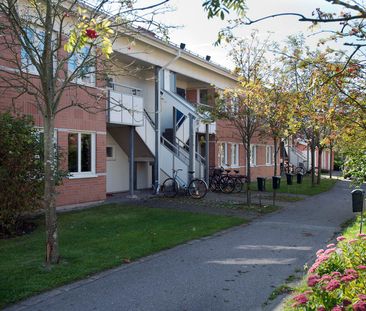 Kollegievägen 203 - Foto 5