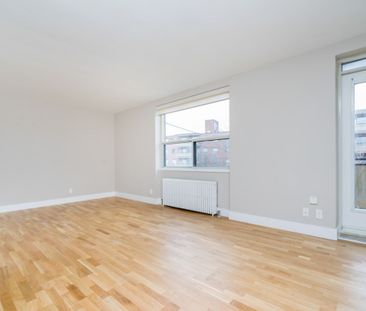 25 Eccleston Drive - Photo 3