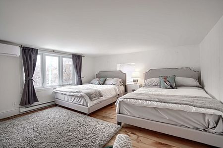 Condo for rent, Montréal (Le Sud-Ouest) - Photo 2