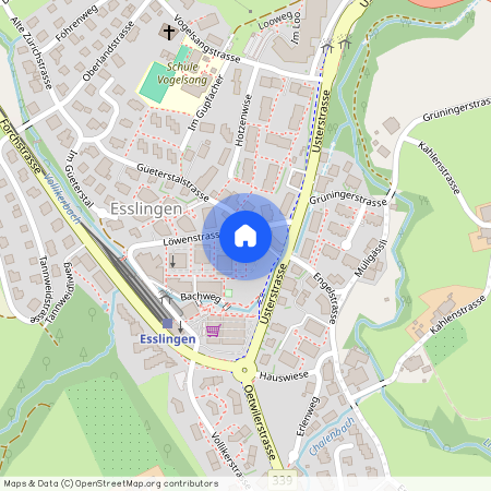 8133, Esslingen, Löwenstrasse, 7