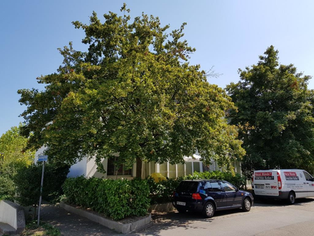 Gartenwohnung nähe Dorfzentrum! - Foto 3