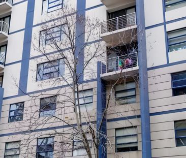 1 Bedroom Standard Apartment - Photo 4