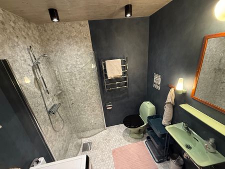 Pålsjövägen, Lund - Photo 5