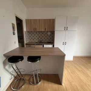 Location Appartement 1 pièce 20m² NANTES 44300 - Photo 2