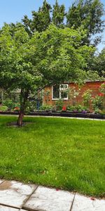 1 bedroom property to rent - Photo 4